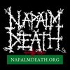 Profile Logo